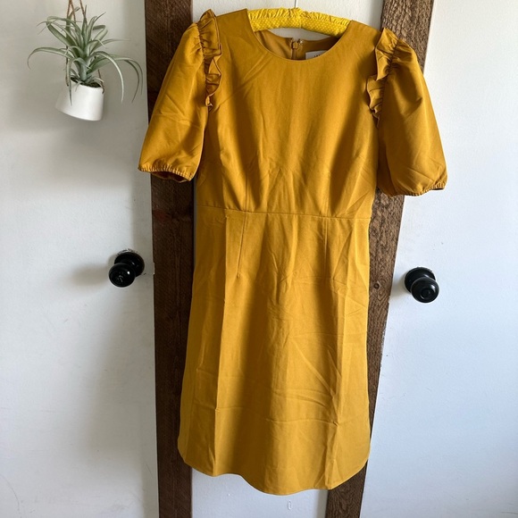 New Women's Florence Puff Half Sleeve Empire Waist Fit and Flare Dress women’s 8 - Picture 4 of 16